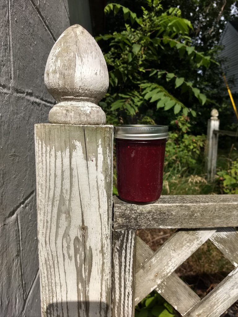 homemade jam in the sun