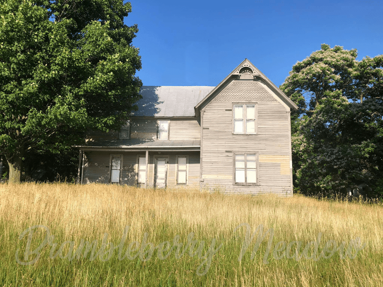 Of Fads and Farmhouses
