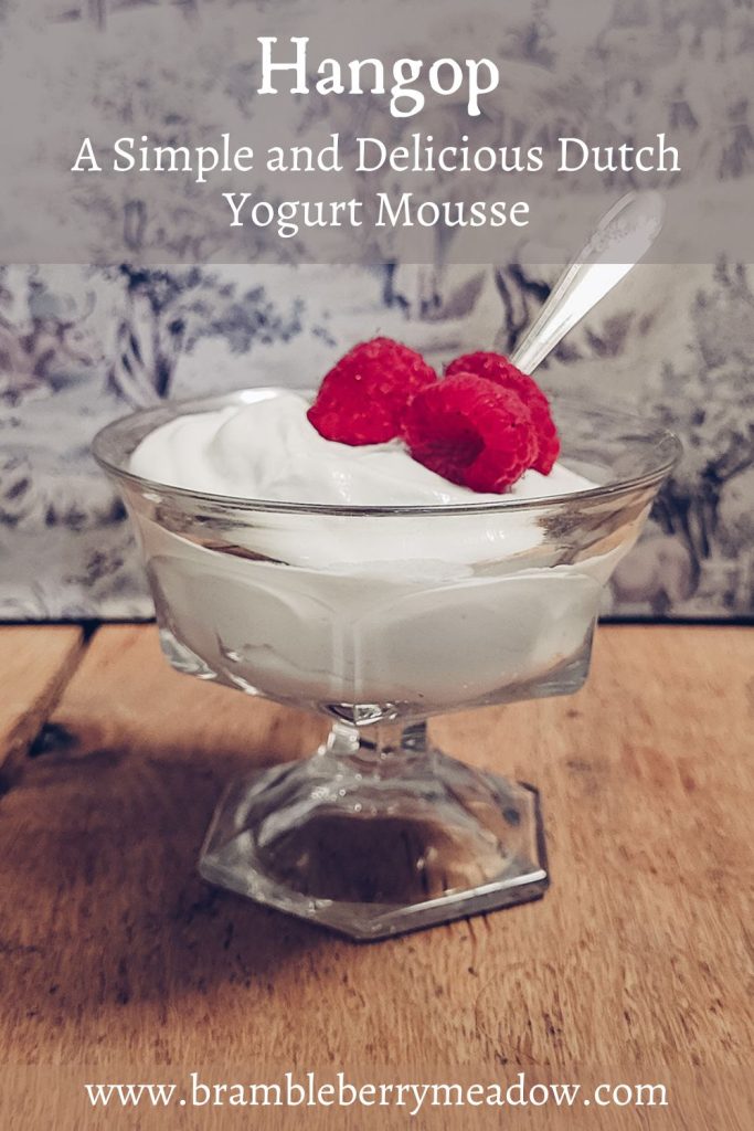 Hangop – Dutch Yogurt Mousse
