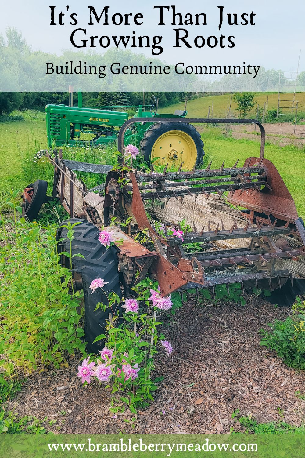 It's More Than Just Growing Roots - Brambleberry Meadow