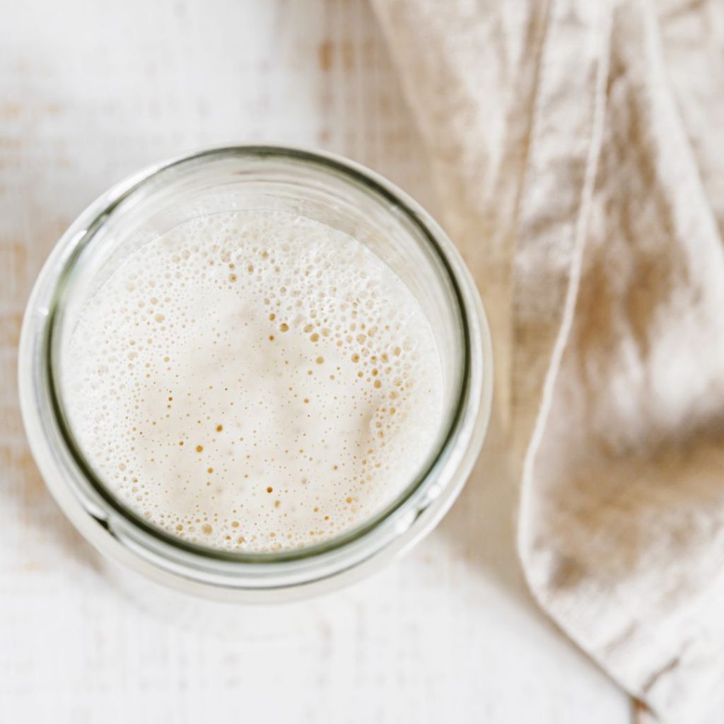 A jar of home cultured yeast